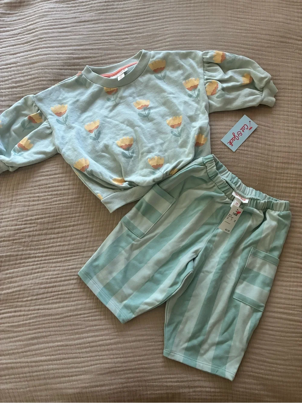 Cat & Jack aqua sweat set